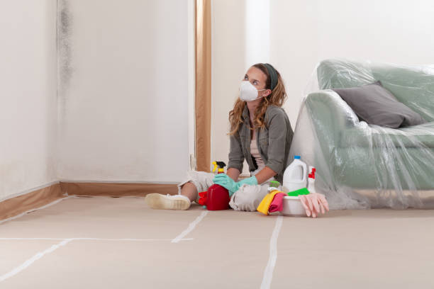Reliable Mold Remediation contractor in Watertown, MN by WQB Mold Removal